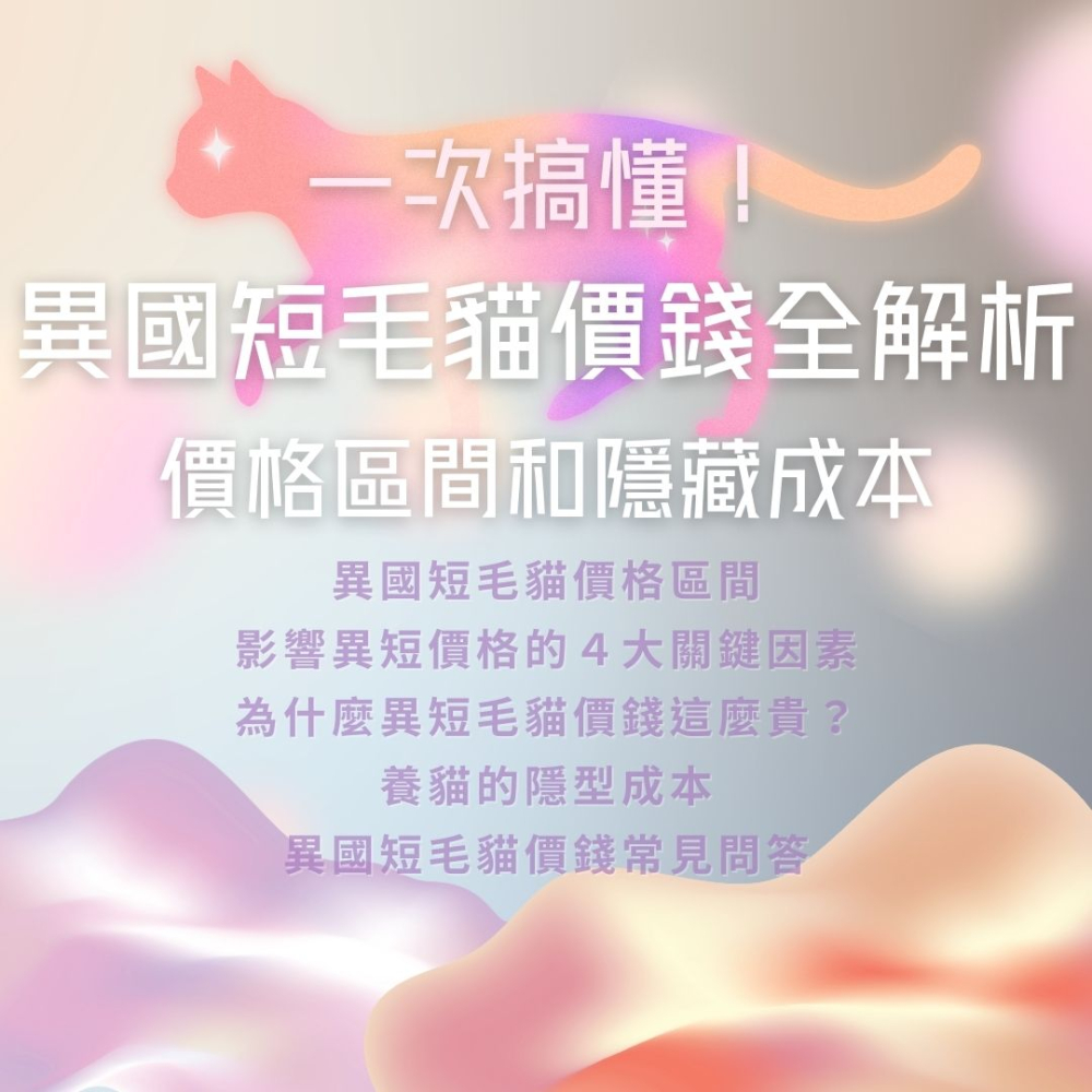 異國短毛貓價錢全解析：一次搞懂價格區間和隱藏成本