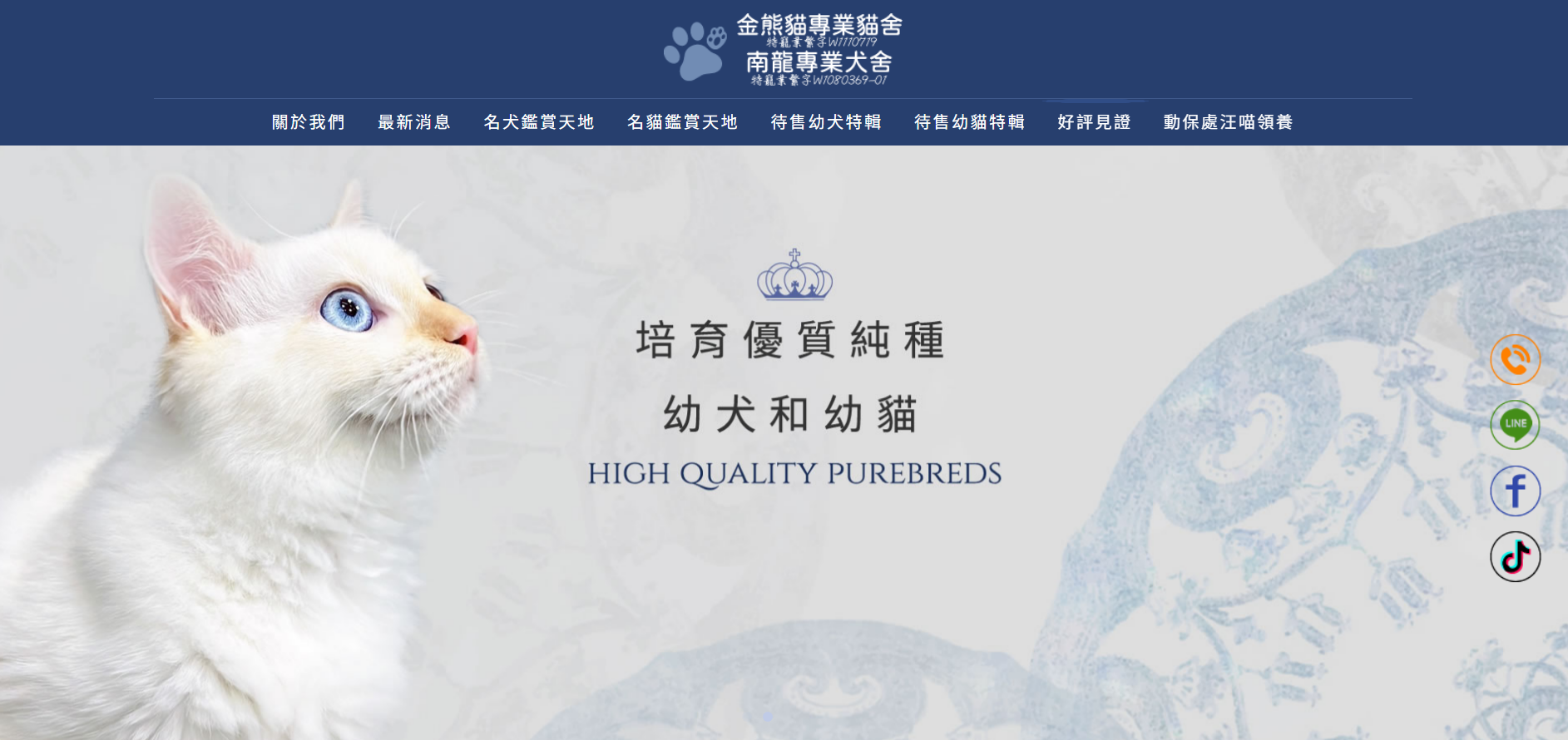 金熊貓專業貓舍