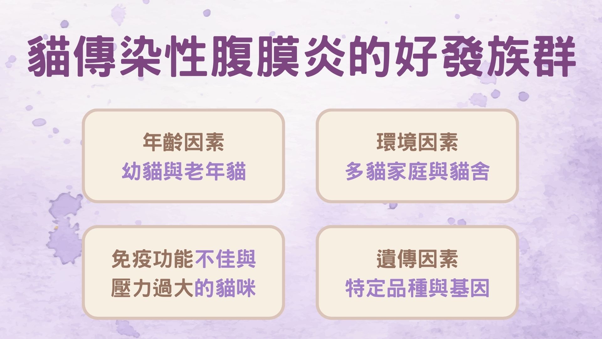 貓傳染性腹膜炎的好發族群