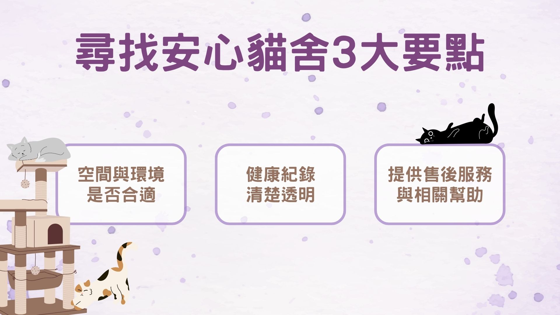 尋找安心貓舍的要點