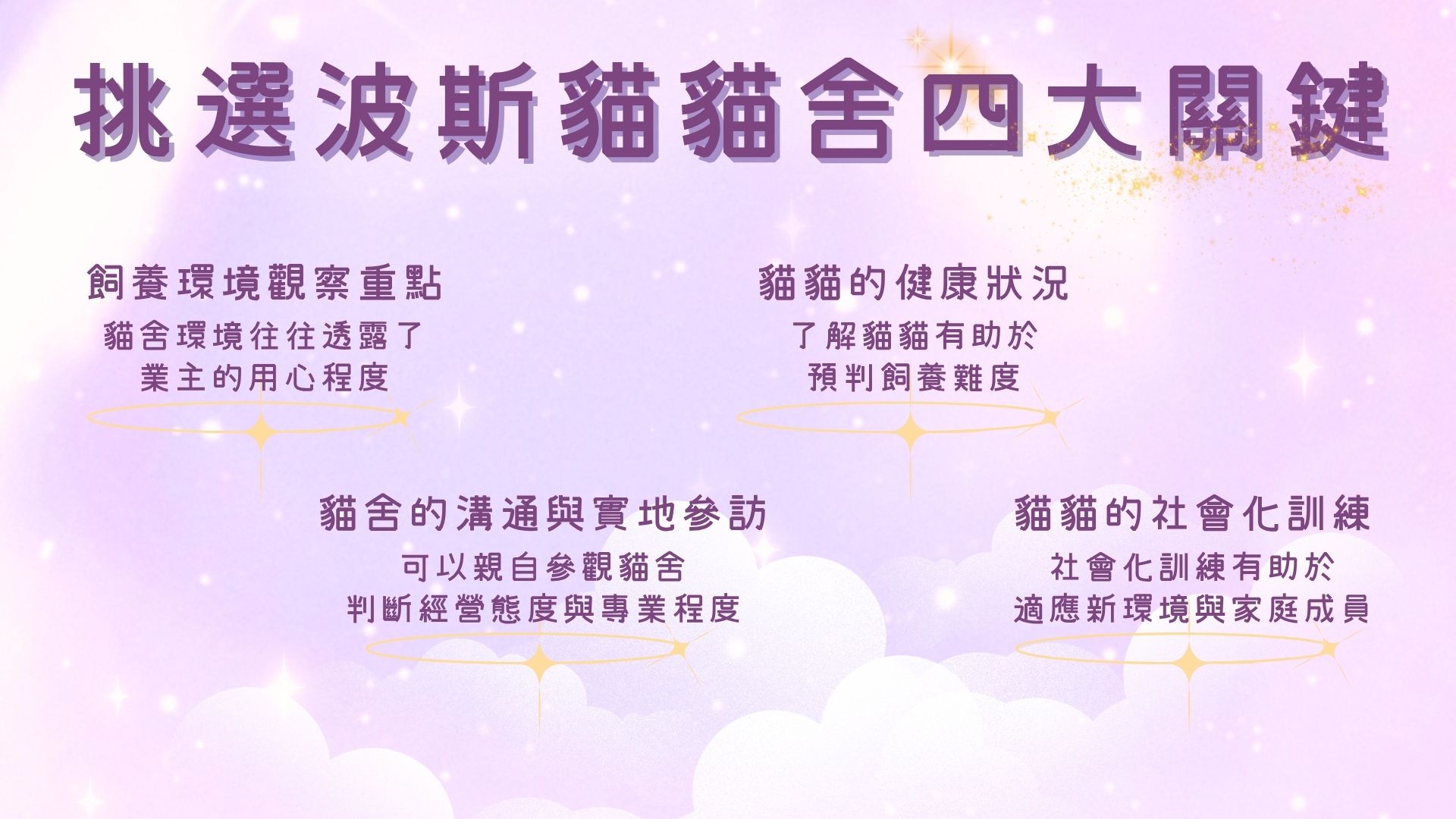 怎麼挑波斯貓