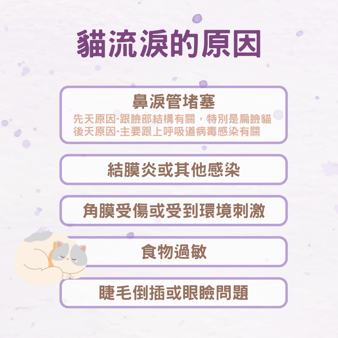貓流淚的原因
