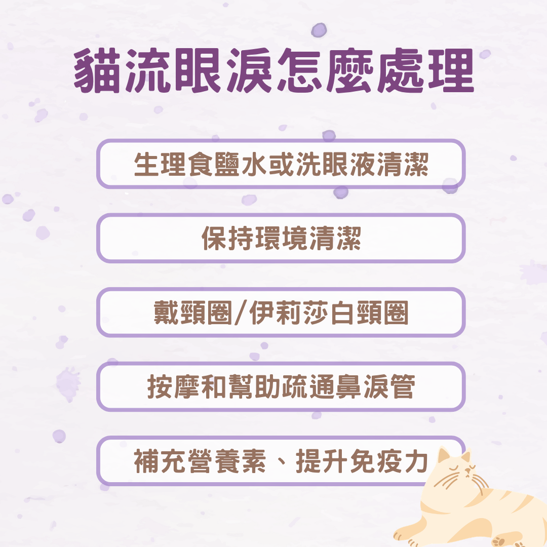 貓流眼淚怎麼處理