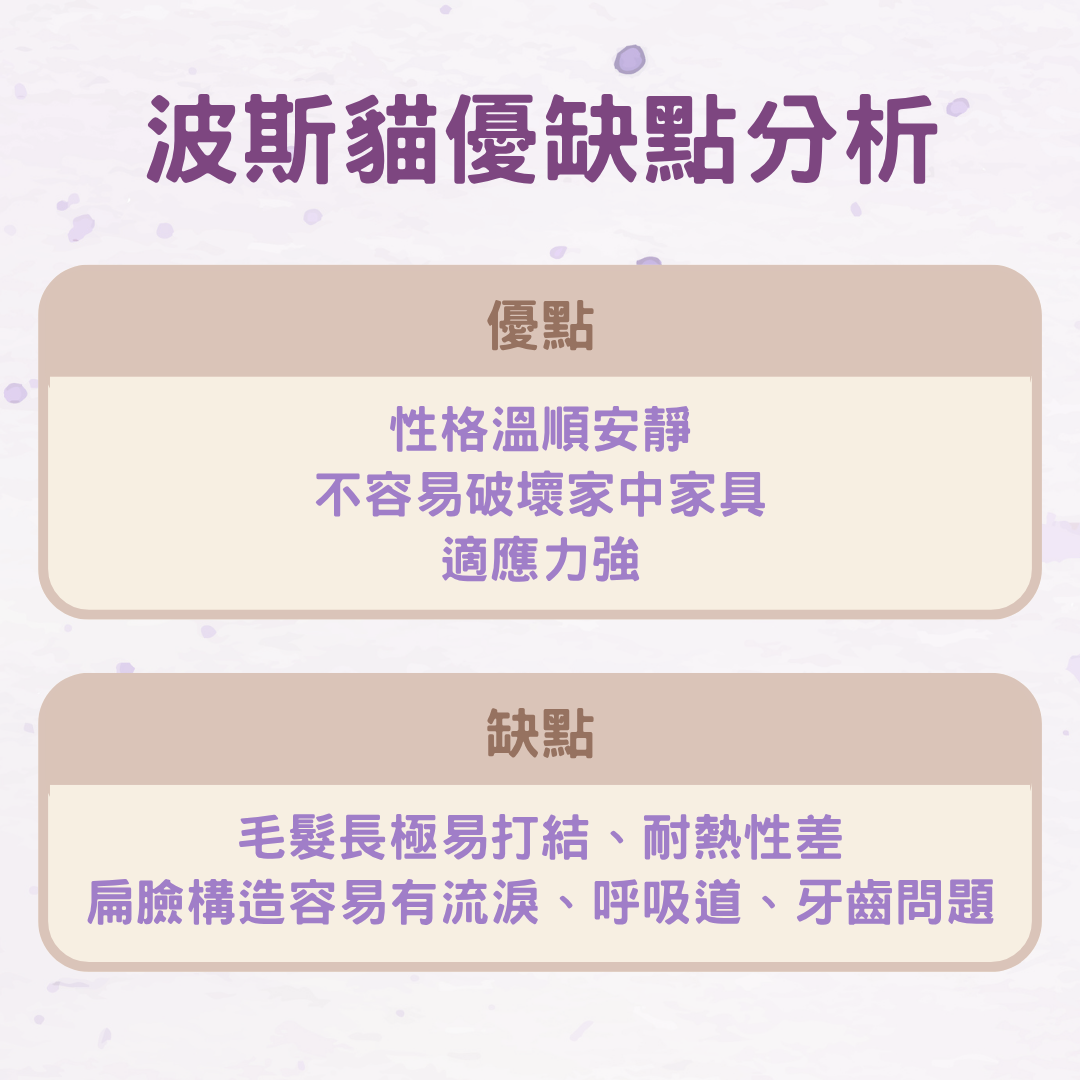 波斯貓的優缺點