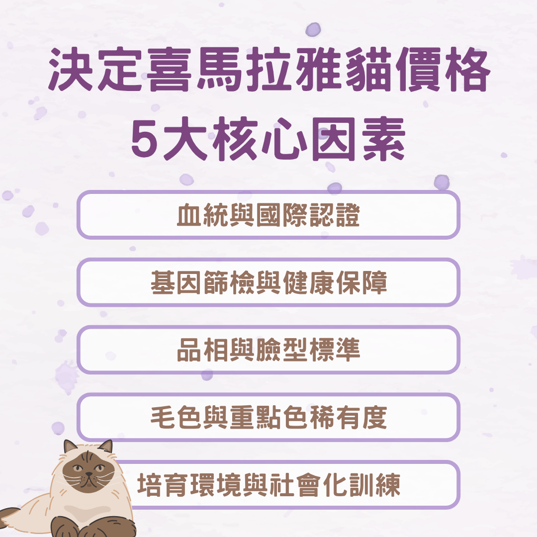 喜馬拉雅貓價格決定因素