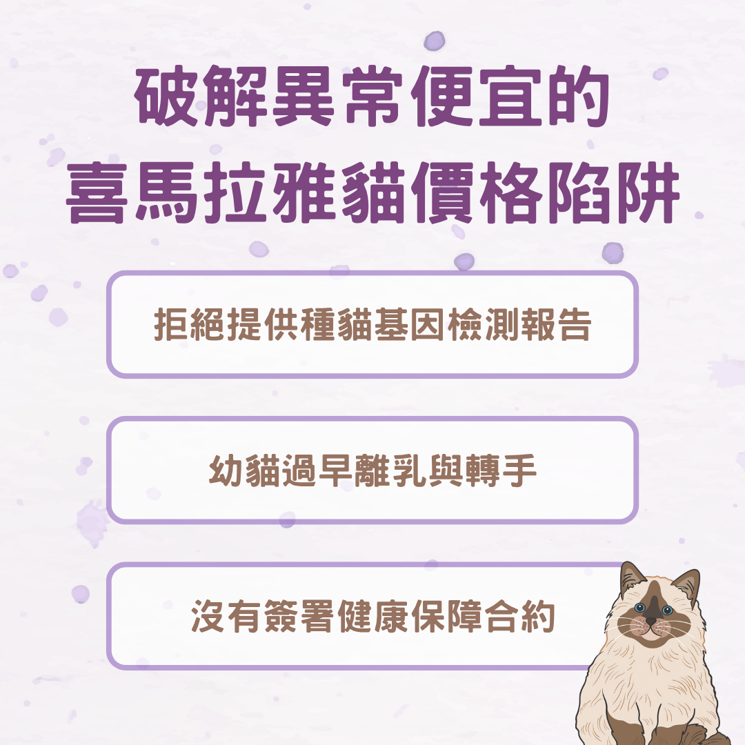 便宜的喜馬拉雅貓價格陷阱