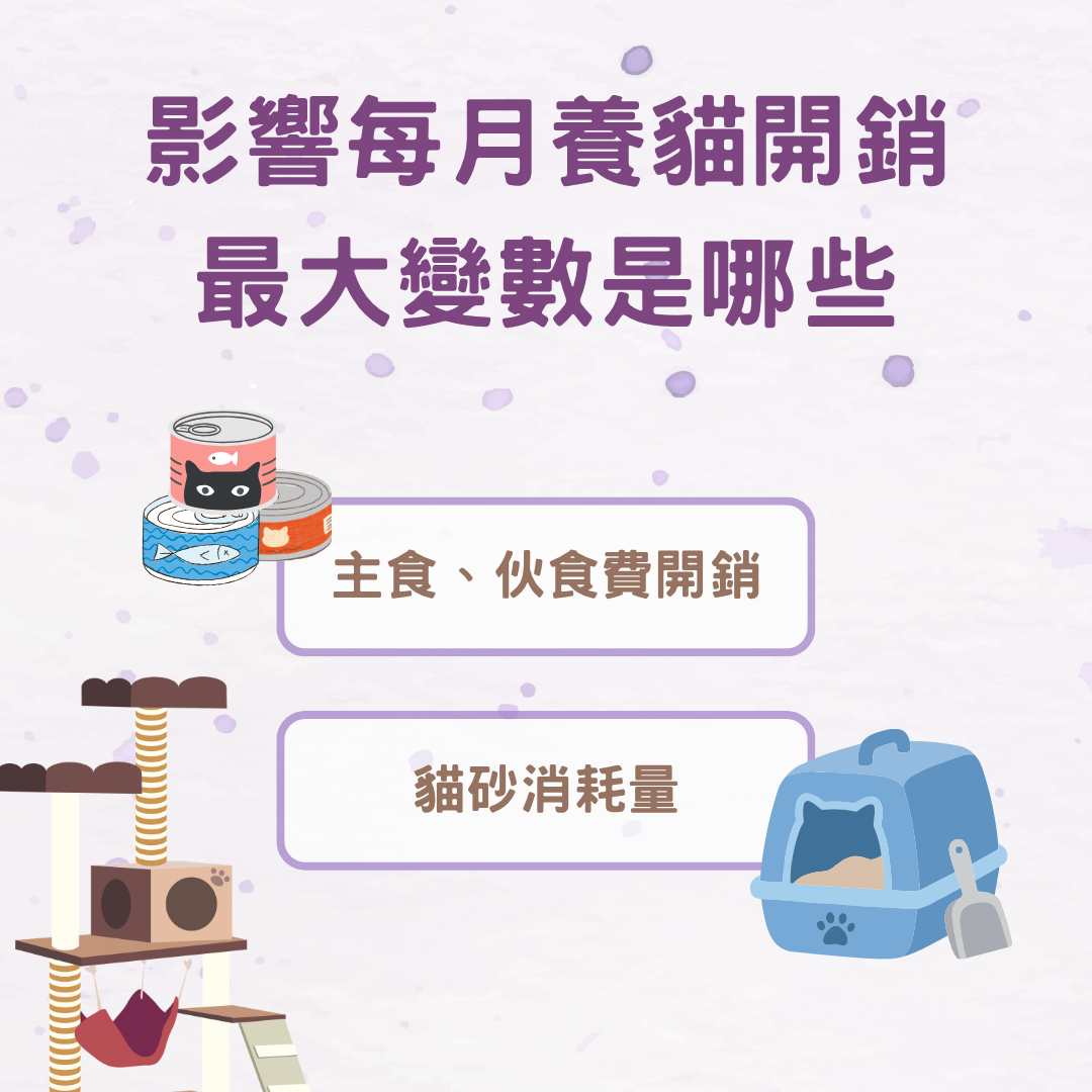 每月養貓開銷