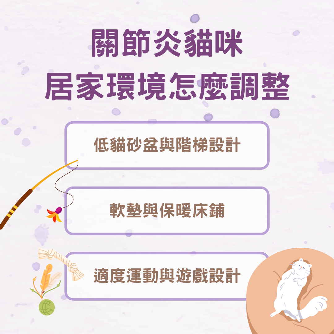 關節炎貓咪的居家環境
