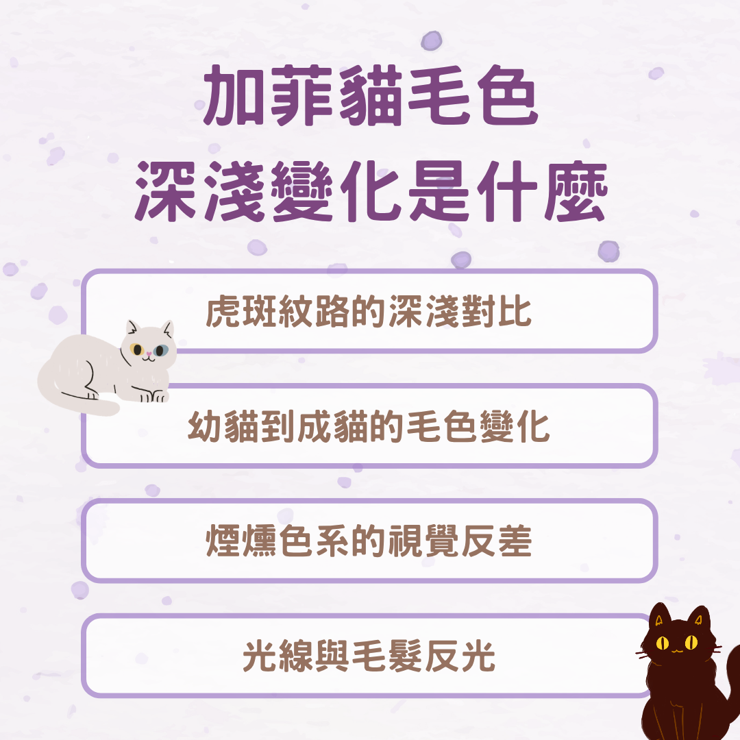 加菲貓毛色的深淺變化