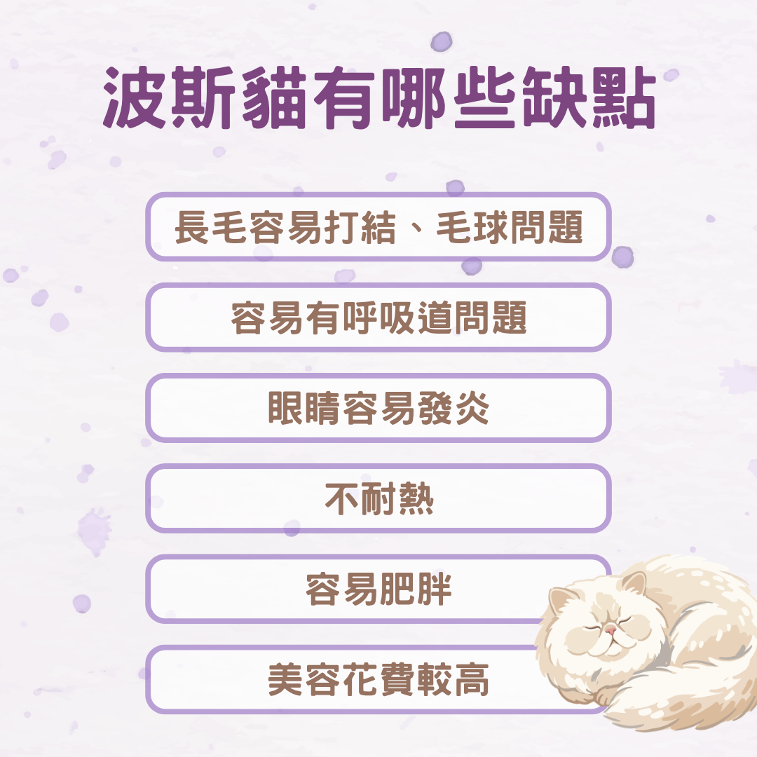 波斯貓有哪些缺點