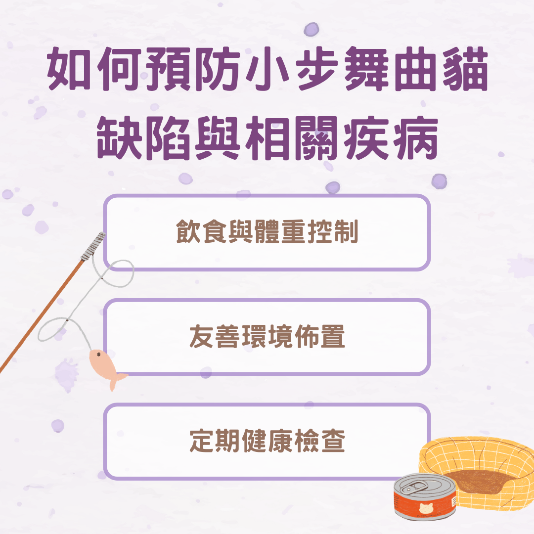 如何預防小步舞曲貓缺陷