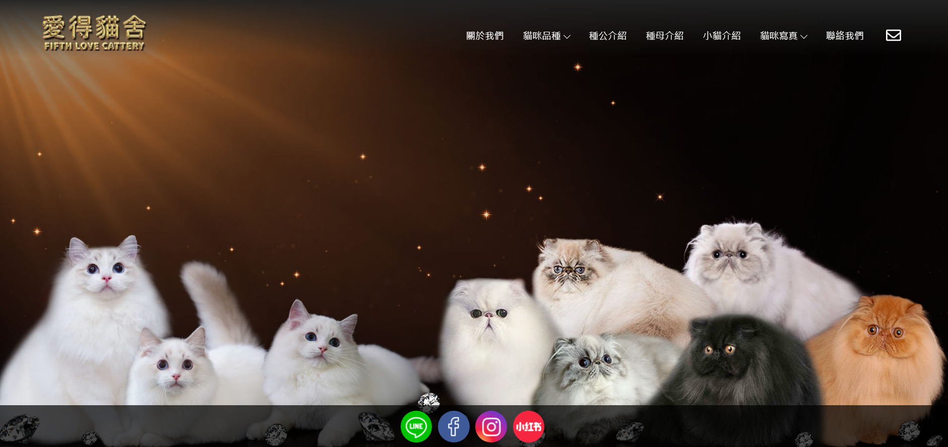 愛得貓舍