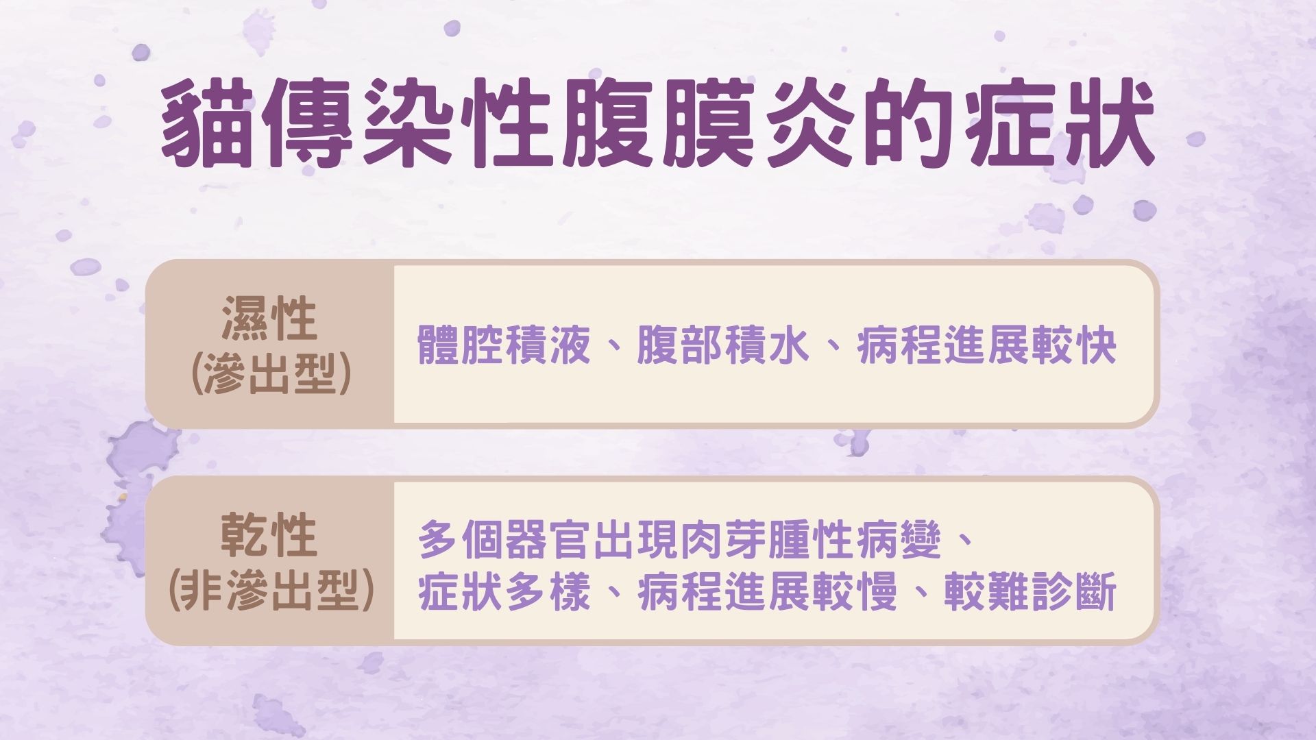 貓傳染性腹膜炎的症狀