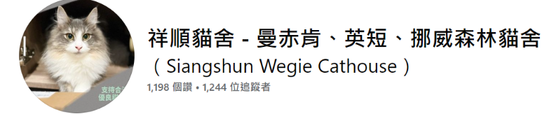 短腿貓貓舍推薦:祥順貓舍